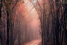 放松！女足国脚吴海燕晒与队友王霜、陈巧珠一起跳舞视频.