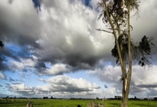 [英超]曼联、切尔西双双被绝平.