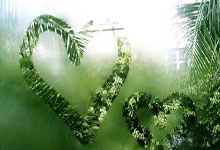 车队上诉成功 新加坡赛车小将何宗宪夺Eurocup-3总冠军.